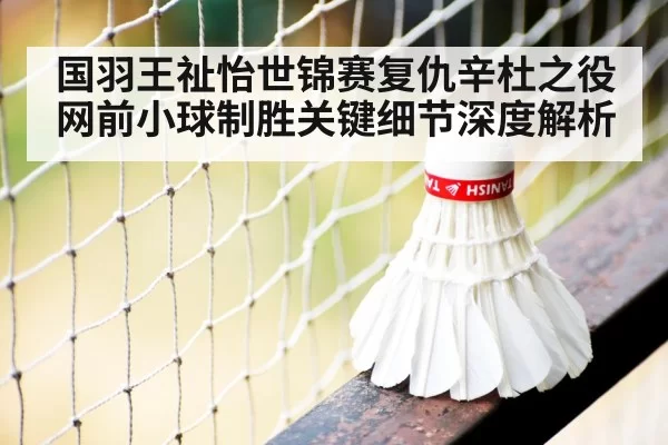badminton singles match