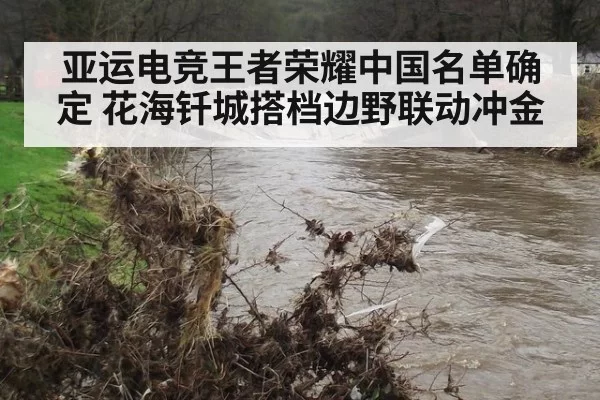 亚运电竞王者荣耀中国名单确定 花海钎城搭档边野联动冲金